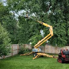 Best Hazardous Tree Removal  in Melcher Dallas, IA